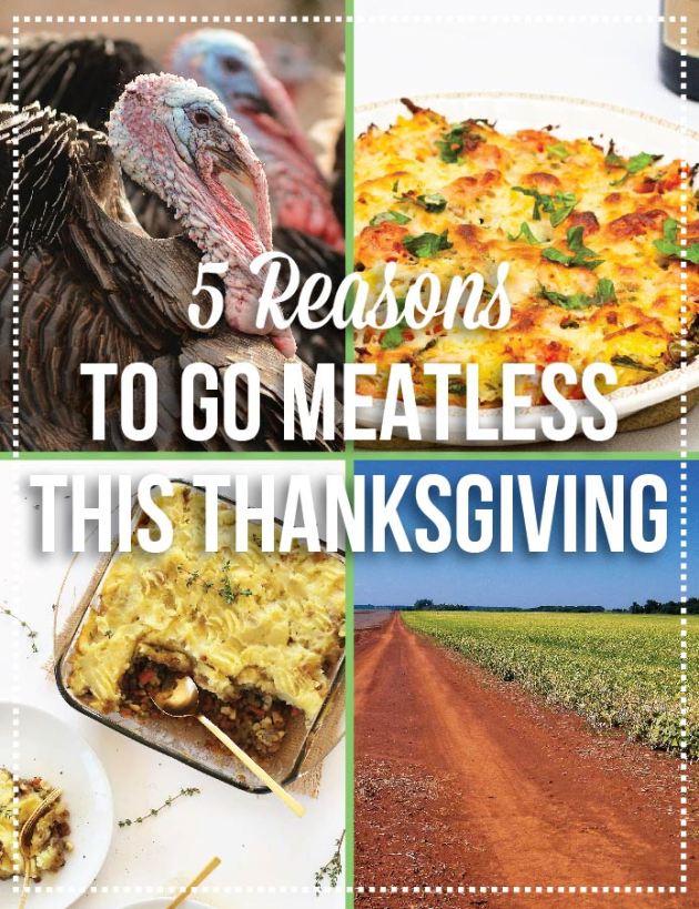 Go Meatless & Vegetarian Thanksgiving